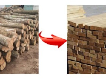 Báo giá máy xẻ gỗ tròn nhiều lưỡi chi tiết nhất tại Máy Gỗ Bình Nguyên