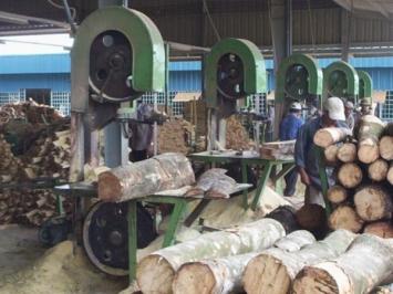 Máy Gỗ Bình Nguyên - Đơn vị cung cấp máy chế biến gỗ tại Hà Nội uy tín nhất