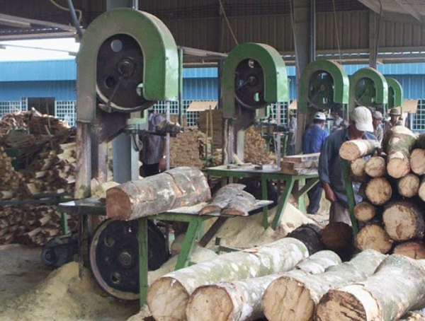 Máy chế biến gỗ giúp tăng hiệu suất công việc